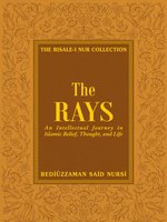 The Rays